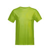 T-Shirt Jive Lime XS t/m 3XL (Uitlopende kleur) (Maat M en L niet leverbaar)